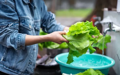 4 cách rửa rau tưởng sạch mà hóa ''rửa càng kỹ càng bẩn'': Nhiều người đang làm mỗi ngày