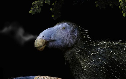 Bí ẩn bộ giáp gai rỗng của loài khủng long 125 triệu năm tuổi làm giới cổ sinh vật học hoàn toàn bối rối