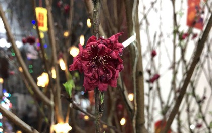 Qua mùng 8 Tết: Tiễn ngay 3 thứ này khỏi nhà kẻo xui cả năm, tiền làm bao nhiêu cũng hết sạch