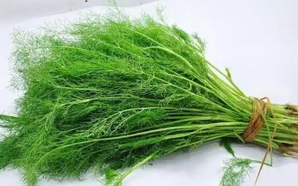 Rau thì là có gây suy thận? Các bác sĩ cảnh báo: Để tránh tổn thương thận, hãy ăn ít 3 loại rau này