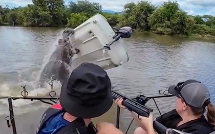 Hà mã hung hãn lật úp chiếc thuyền, người đàn ông rơi xuống sông