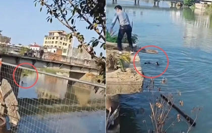 Cãi vã, bố ném con nhỏ xuống sông, mẹ nhảy xuống cứu