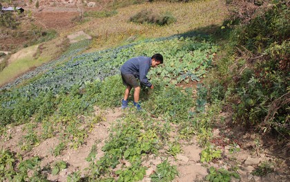 Từ lương 1,9 tỷ đồng/năm xuống còn 22 triệu đồng/tháng: Người đàn ông có học vị tiến sĩ nói mình mới là "kẻ chiến thắng" thực sự