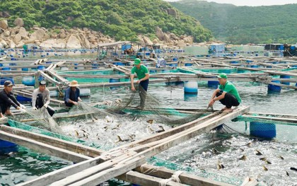 3 trụ cột chiến lược KLC Group xác định để song hành cùng phát triển đất nước, hiện thực hóa khát vọng toàn cầu