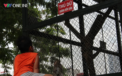 Cẩn trọng với nguy cơ bị động vật trong khu du lịch cắn