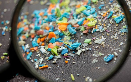 Vi nhựa xuất hiện trong một loạt khối u ung thư