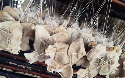 Hơn 55 tấn lòng, dạ dày và chân gà không rõ nguồn gốc trong kho doanh nghiệp ở Hải Phòng