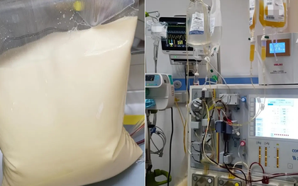 25 tuổi, máu chuyển trắng như sữa, cùng lúc mắc 3 bệnh nguy kịch: Bác sĩ cảnh báo lối sống này đang âm thầm "bôi mỡ" vào máu người trẻ