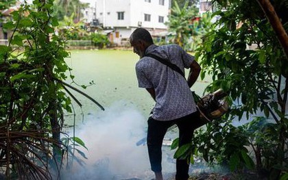 Loài động vật nguy hiểm nhất thế giới giết chết hơn 1.000.000 người mỗi năm: Không phải con vật bạn đang nghĩ