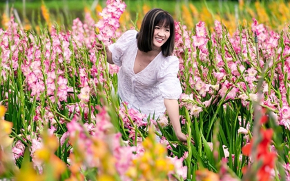 Vườn hoa lay-ơn nở muộn bất ngờ trở nên rất hot ở Đà Lạt