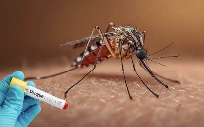 Nam sinh nguy kịch tại lớp học vì sốt xuất huyết do muỗi đốt