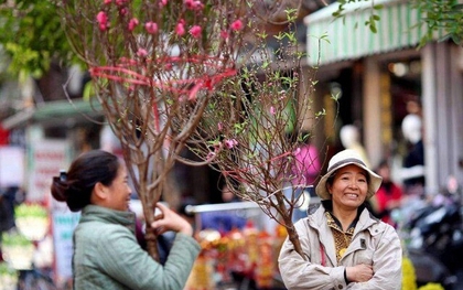 Thông tin mới nhất về thời tiết Tết Nguyên đán trên cả nước: Liệu còn cảnh rét cắt da cắt thịt?