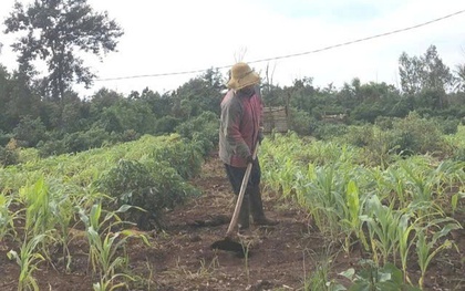 Chưa có kinh phí bồi thường cho 6 giáo viên thắng kiện hơn 4 năm trước