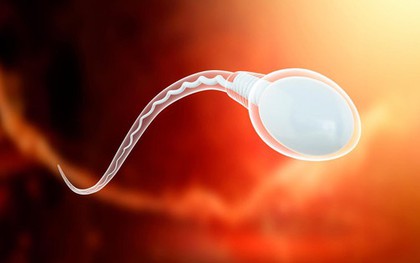 Hay dùng đồ nhựa "1 lần", quý ông có thể gặp nguy