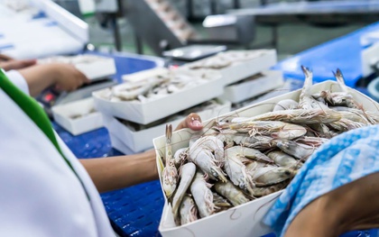 Một ngành hàng của Việt Nam được cả thế giới săn đón - xuất khẩu đạt 874 triệu USD tháng đầu năm, tăng trưởng 13%