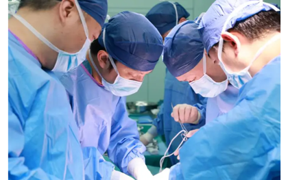 Trung Quốc ứng dụng gan lợn chỉnh sửa gen hỗ trợ điều trị suy gan