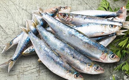 7 loại cá tích tụ thủy ngân nhiều bậc nhất