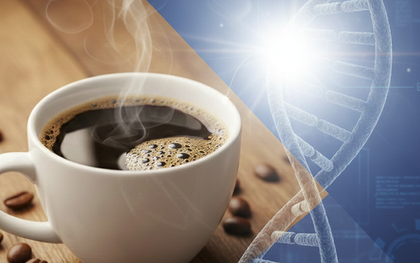 Phát triển phương pháp trị ung thư kết hợp cà phê và CRISPR