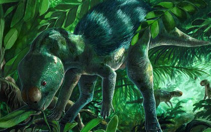 Lộ diện sinh vật lạ chứng minh khoa học "lạc đường"