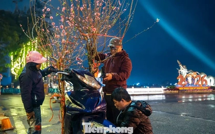 Hà Nội mưa rét thấu xương, tiểu thương trắng đêm trông đào quất