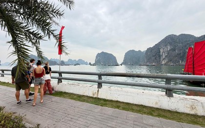 Cảnh tượng ngay lúc này trên vịnh Hạ Long: Sau gần 30 năm mới thấy lại, nhiều người không tin vào mắt mình