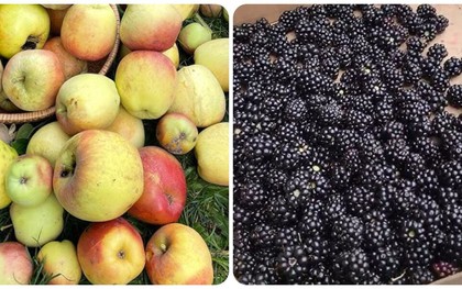 5 loại trái cây giúp 'thanh lọc' cơ thể hiệu quả nhất