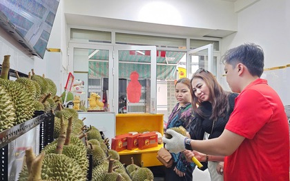 Sầu riêng gai đen tiền triệu mỗi trái vẫn ‘cháy hàng’