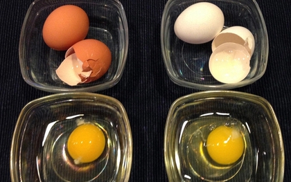 Trứng vỏ trắng hay vỏ nâu tốt hơn? Đáp án khiến nhiều người bất ngờ