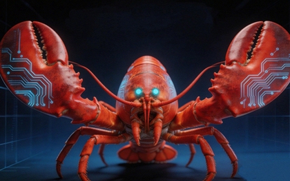 Con "tôm hùm" không ăn được đã gieo rắc nỗi lo lắng cho nhiều người Trung Quốc: Lý do là gì?