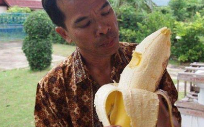 Giống chuối "khổng lồ" kỳ lạ nhất thế giới, cây cao gần bằng tòa nhà 8 tầng, ăn một quả no cả ngày