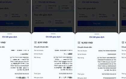 Một phụ nữ lừa đảo chiếm đoạt tài sản với thủ đoạn hiếm thấy