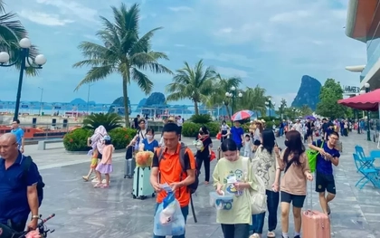 Lý do tàu cao tốc Vân Đồn, Cô Tô tăng giá, cắt chuyến