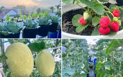 Mẹ đảm Đồng Nai biến sân thượng 90m2 thành "siêu thị" tại gia, nuôi gà tầng hầm, thu hoạch rau quả mỏi tay