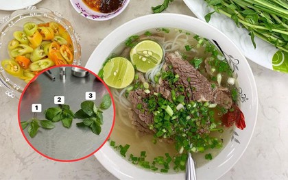 Nhiều người đang tự phá hỏng bát phở chỉ vì nhầm lẫn tai hại giữa ba loại rau này