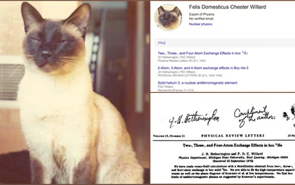 Chú mèo uyên bác nhất lịch sử là đồng tác giả 3 công trình vật lý và được mời làm việc tại đại học