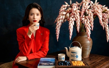 Riềng ấm đang vào mùa, được nhiều chị em săn lùng mua về cắm chưng nhà: Loại hoa này có gì đặc biệt?