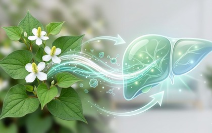 Loại rau gia vị phải 'bịt mũi' khi ăn nhưng hỗ trợ thải độc gan cực tốt