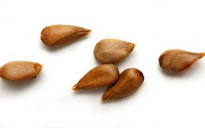 Loại quả ngon mắt nhưng chứa "chất kịch độc", mâm cơm nhà nào cũng có mà không hay