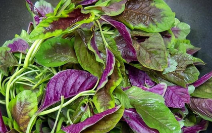 5 loại rau rất ít bị phun thuốc trừ sâu, ăn cực ngon miệng, chợ Việt bán chỉ vài ngàn một mớ