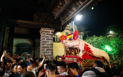 Cả làng La Phù thức trắng vì 17 “ông lợn”: Lợn ăn trứng, ngủ màn, mùa đông sưởi than để chờ giờ rước đình