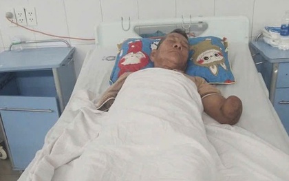 Tin mới liên quan cụ ông cụt 2 tay kẹp con rắn hổ mang dài 2 mét