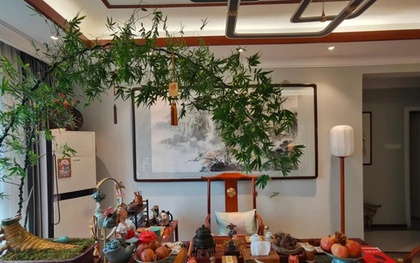 Ông bà dặn kỹ: 6 vị trí trong nhà tuyệt đối không nên đặt cây cảnh, sai một ly gia đình dễ lục đục