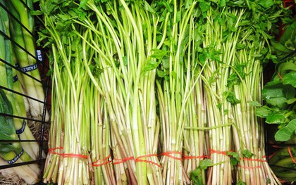 Cảnh báo: Một số thực phẩm hàng ngày tiềm ẩn ký sinh trùng, đừng ăn quá nhiều