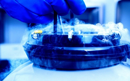 Não chết rồi vẫn “sống lại”? Thí nghiệm đóng băng sâu gây chấn động giới khoa học toàn cầu