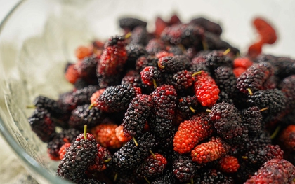 4 loại trái cây người Việt ăn hàng ngày giúp bồi bổ máu, nuôi dưỡng gan, chợ bán giá rất rẻ