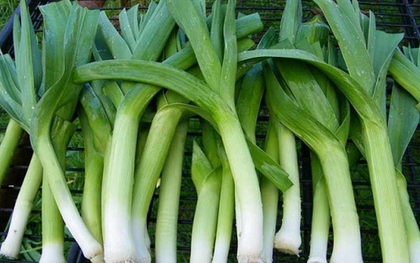 Hội mê ăn rau chú ý: 5 món quen thuộc có thể khiến tình trạng trào ngược dạ dày nặng hơn