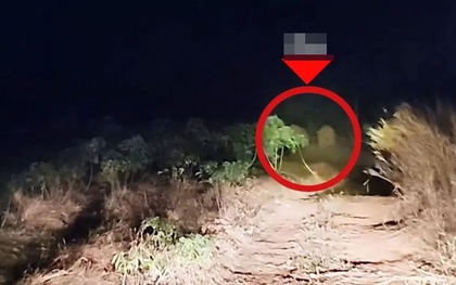 Sau tiếng rống xé toang màn đêm, con thú khổng lồ khoảng 3 tấn lao thẳng vào nhà dân: Cảnh tượng ám ảnh