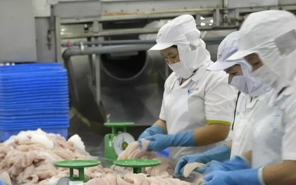 Nhà hàng sushi trong nhóm ‘khó tính’ nhất thế giới dùng cá tra Việt Nam