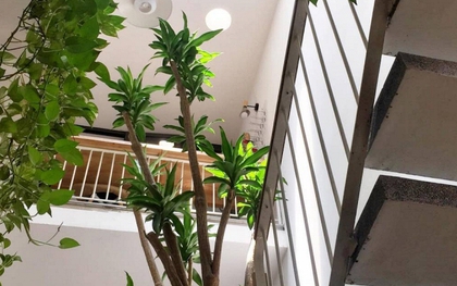 Ông bà dặn: Nhà có 4 dấu hiệu này đừng bao giờ bán, càng ở càng giàu, con cháu tha hồ hưởng lợi