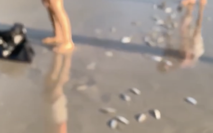 Clip: Hàng ngàn con cá bất ngờ dạt vào bờ biển Khánh Hòa